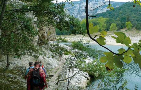 ardeche_feige