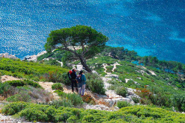 leitmotiv-marseille-wandern-600×400 Wanderreise nach Marseille, wandern in den Calanques